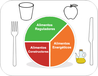M&eacute;todo del plato en la infancia: 37,5% Alimentos reguladores, 37,5% Alimentos energ&eacute;ticos, 25% Alimentos constructores