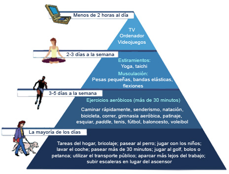 Piramide actividad física adultos Pirámide de la actividad física en adultos
