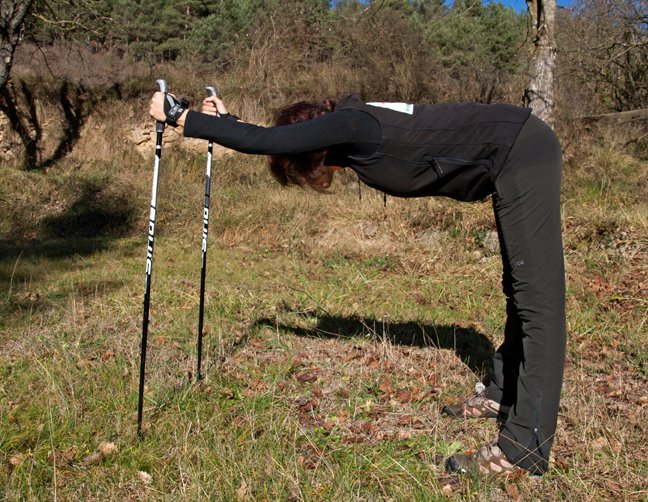 Estiramentos Ejercicios de estiramientos