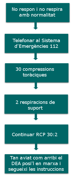 Quadre de reanimaci&oacute;