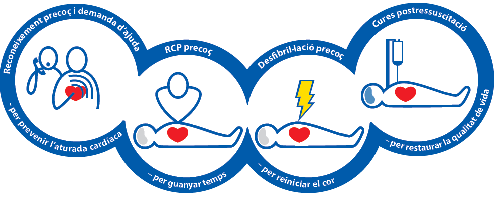 Passos que formen la cadena de superviv&egrave;ncia