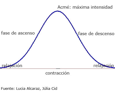 Gr&aacute;fica fases contracci&oacute;n