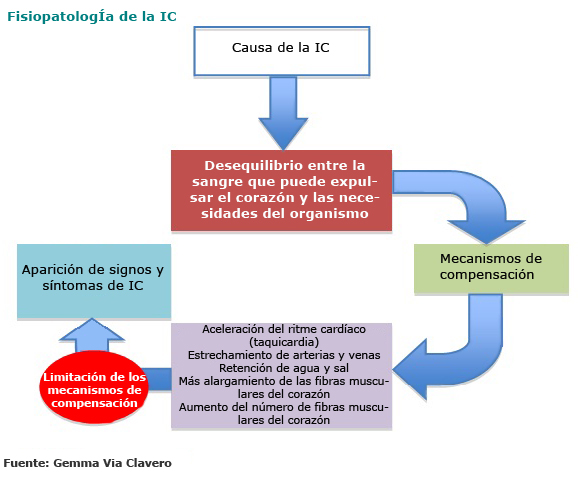 Fisiopatología de la Insuficiencia cardíaca Mecanismos de compensación