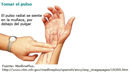Tomar el pulso Pulso radial