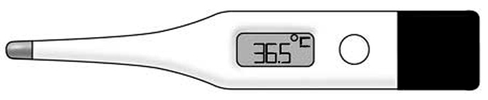 Term&oacute;metro digital de bol&iacute;grafo