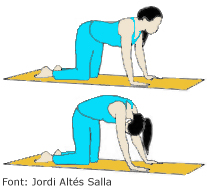 Moviment gat Imatge exercici moviment gat