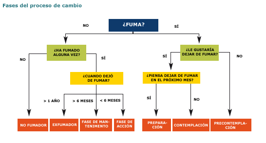 Fases del proceso de cambio - organigrama &iquest;fuma?
